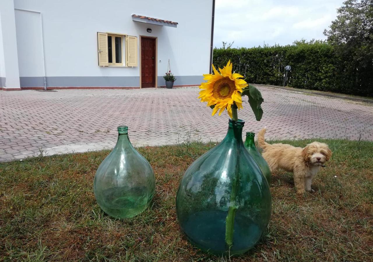 Casa Amrita, Yoga B&B Teramo Exterior photo